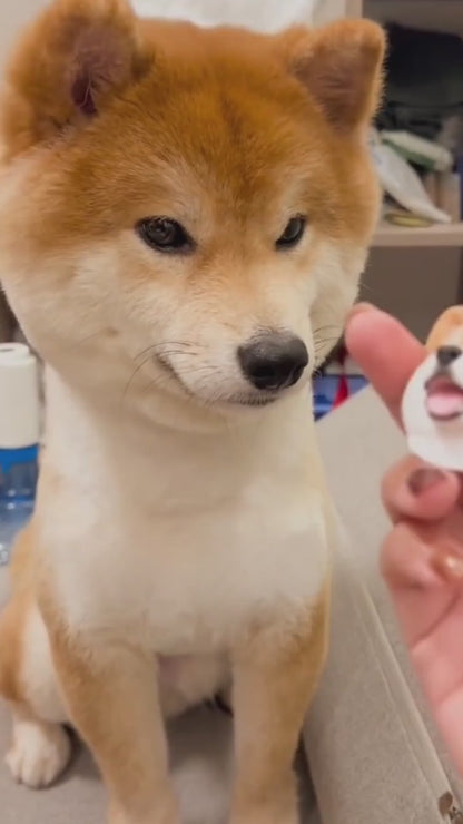 Custom Handmade Pet Head Magnet